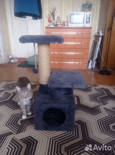Когтеточка домик для кошки