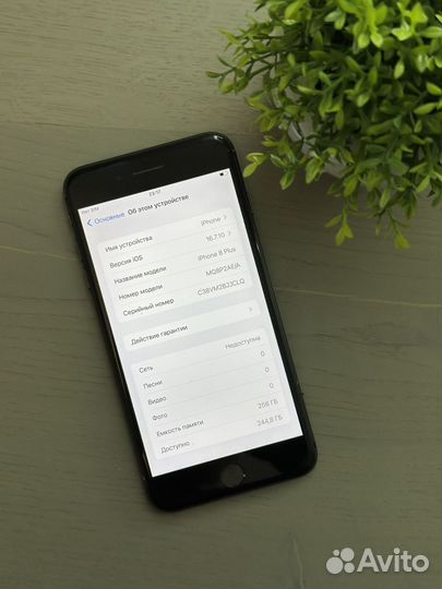 iPhone 8 Plus, 256 ГБ