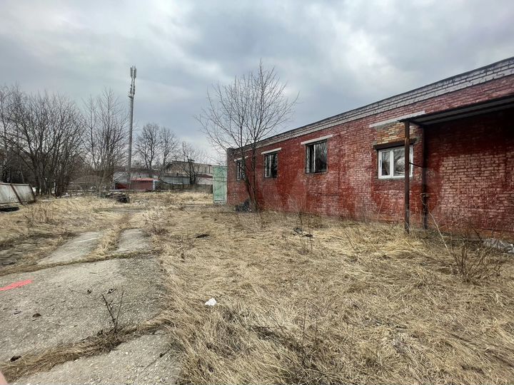 Свободного назначения