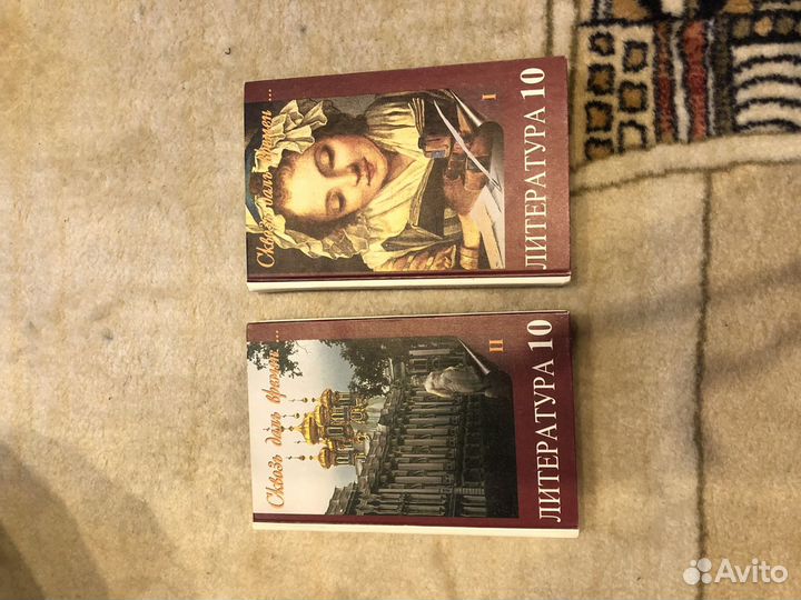 Учебники по литературе 10 класс