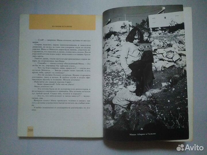 Путешествие длиной 40 лет Ливне Мушон