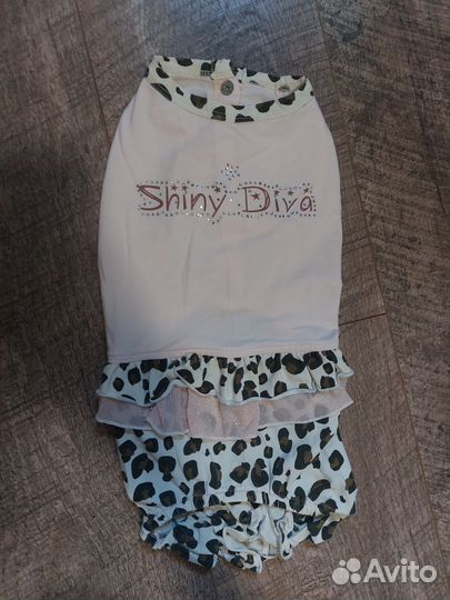 Одежда для собак