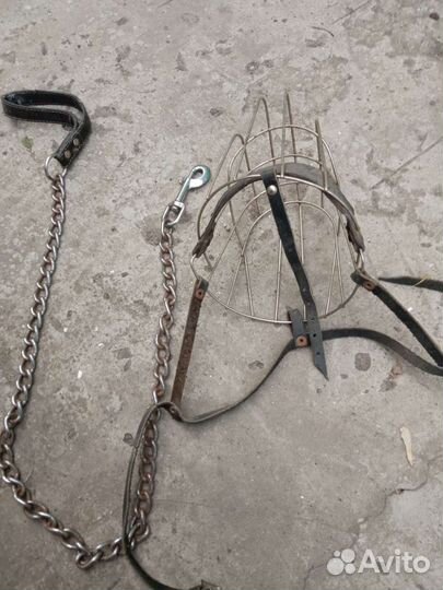 Намордник для большой собаки