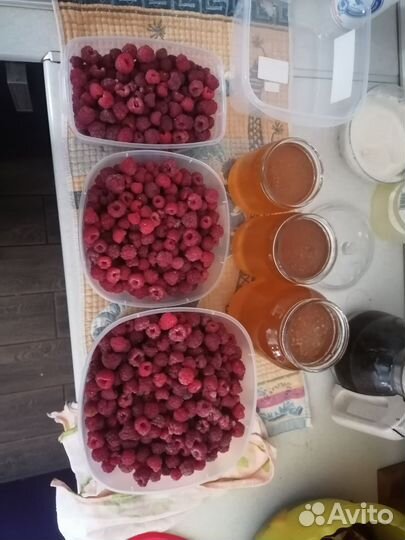 Ремонтантная малина