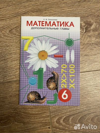 Смыкалова математика дополнительные главы 6 класс