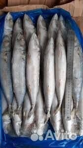 Мойва с/м н/р 12кг