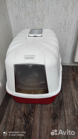 Котёнок мейн-кун