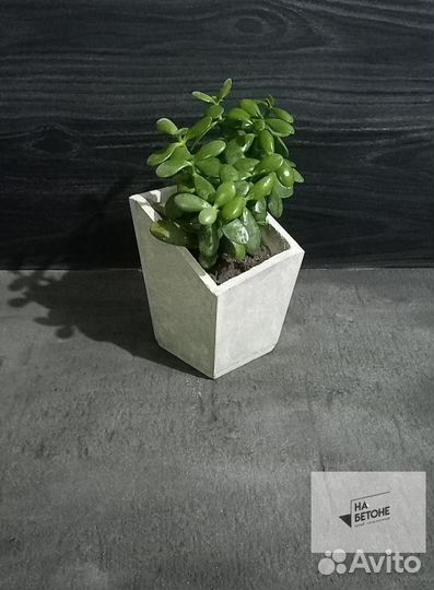 Кашпо, Вазоны, горшки для цветов