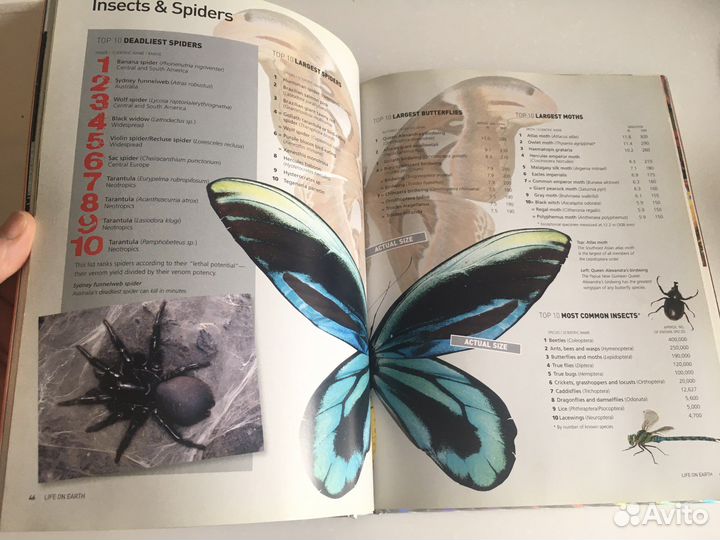 Книга “top 10 всего на свете»