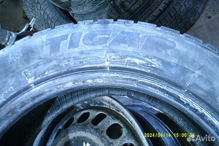 Tigar Winter 1 215/55 R16