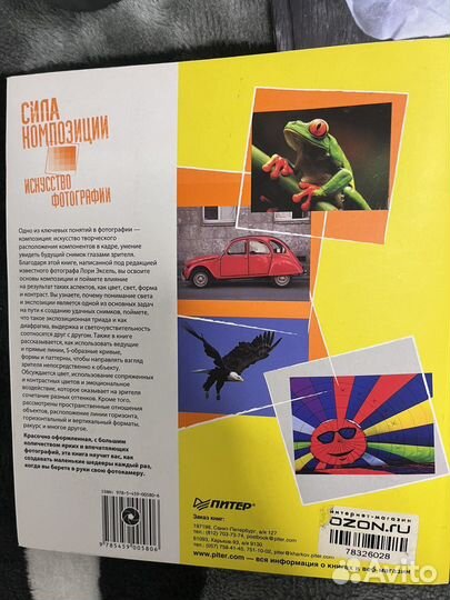 Сила композиции Искусство фотографии