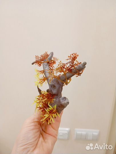 Декор для аквариума