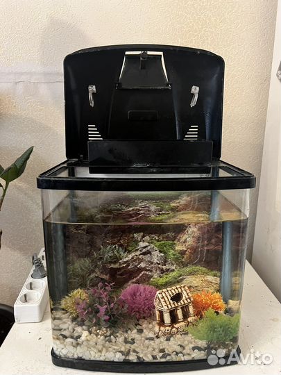 Аквариум с фильтром и нагревателем