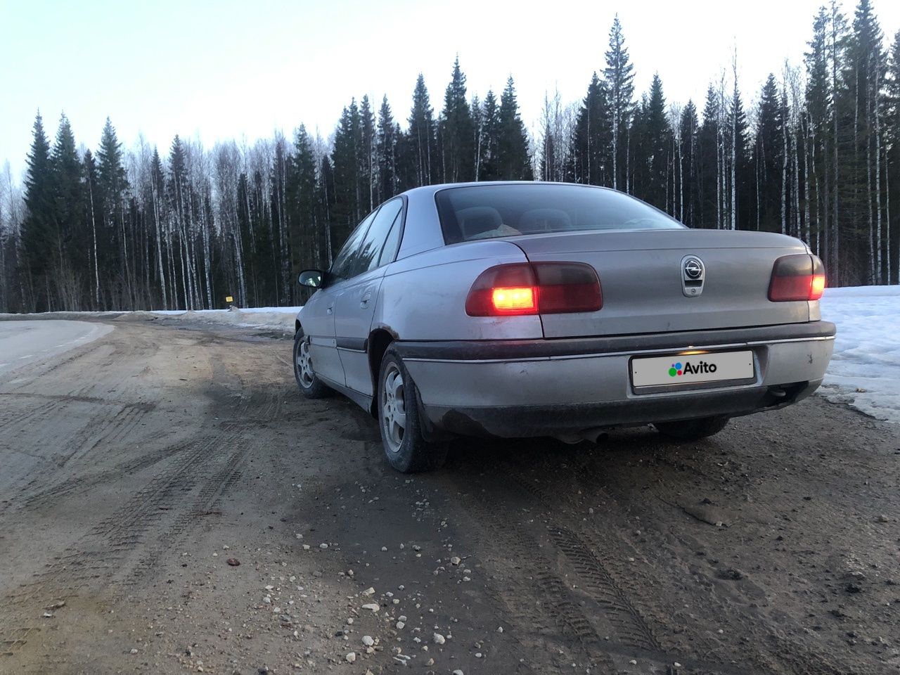 Opel Omega: фото владельца