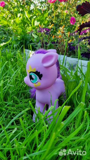 Пони для вашей принцессы My Little Pony