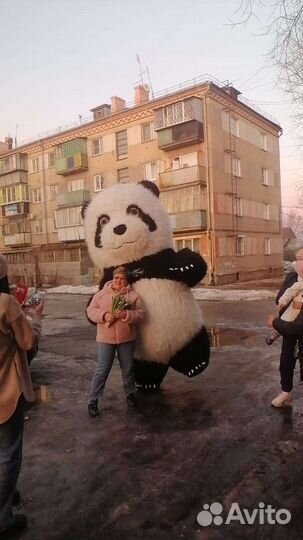 Белый Мишка/Панда 2.6 м. Поздравление. (Аренда)