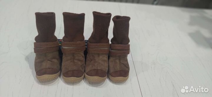 Зимняя обувь для собак