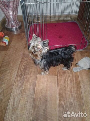 Вольер для животных