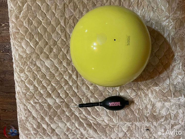 Гимнастический мяч