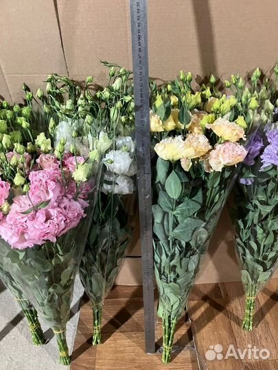 Живые цветы оптом