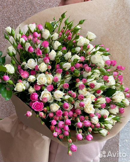 Роза кустовая