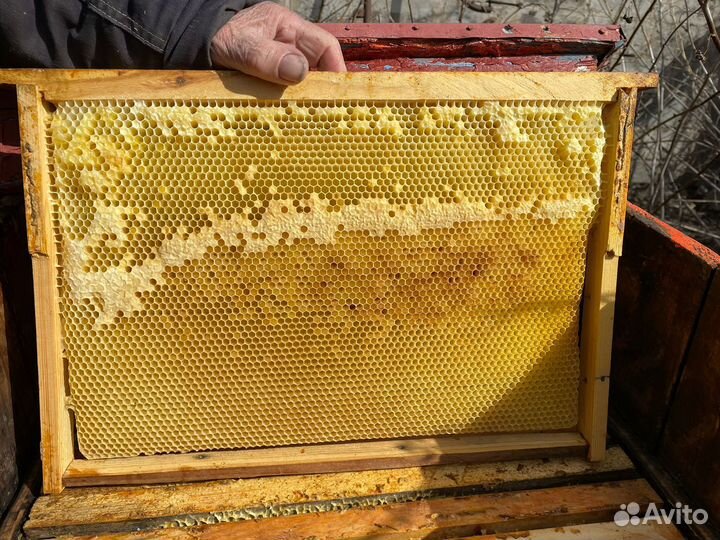 Рамки медовые для пчел