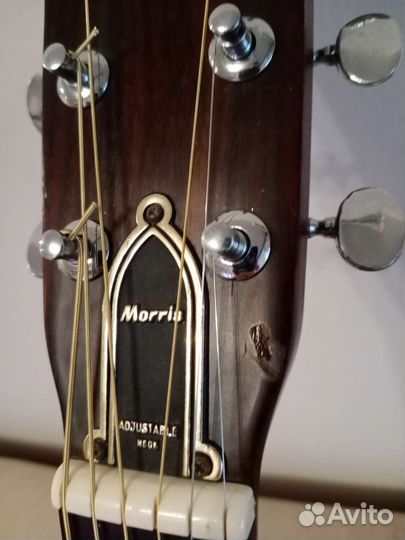 Акустическая гитара morris f15 1973 Япония