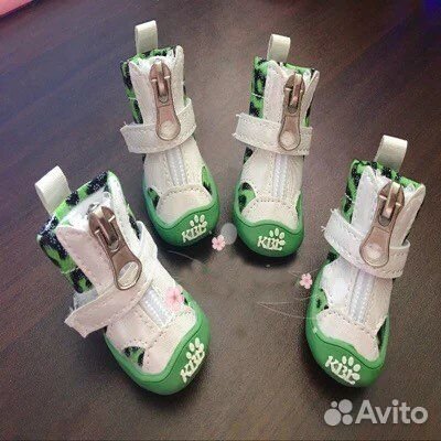 Зимние и летние ботиночки для маленьких собак