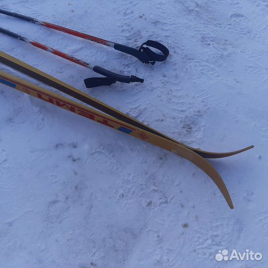 Лыжи Темп Динамо с палками