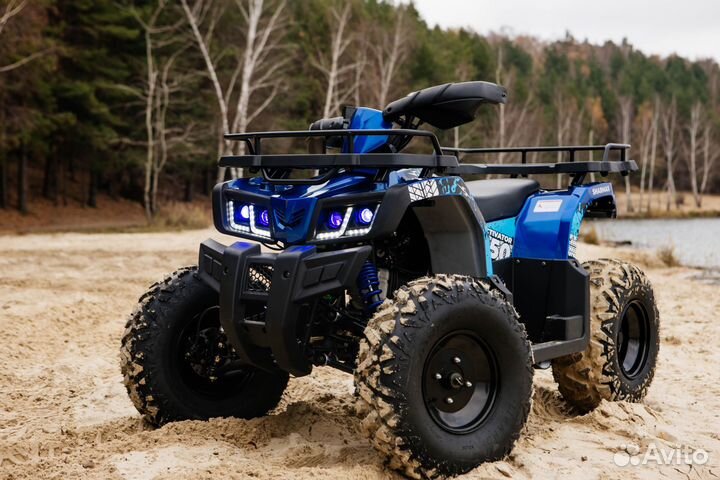 Квадроцикл Sharmax 250 Activator синий
