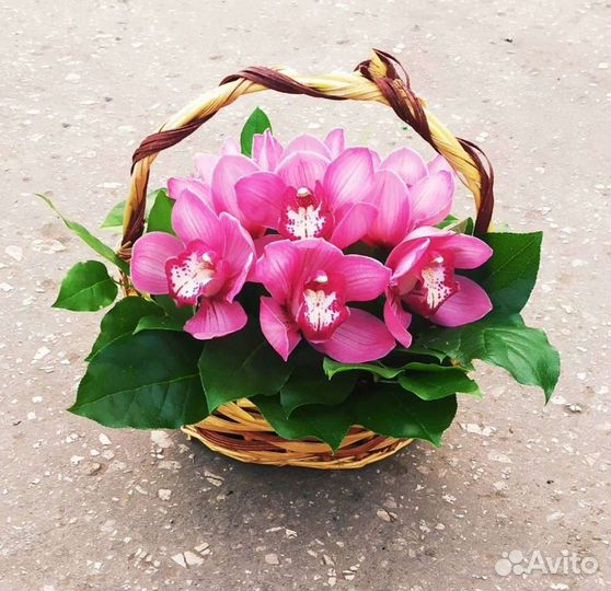 Роза герберы орхидея гипсофил