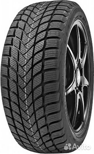 Delinte Winter WD6 175/65 R15 84T