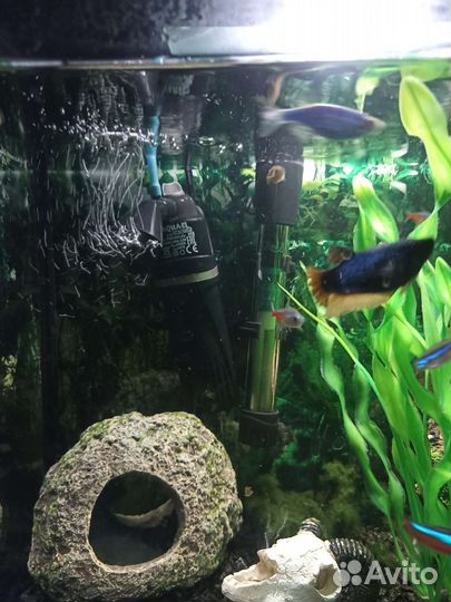Аквариум 35л