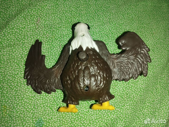 Ракушки,филин