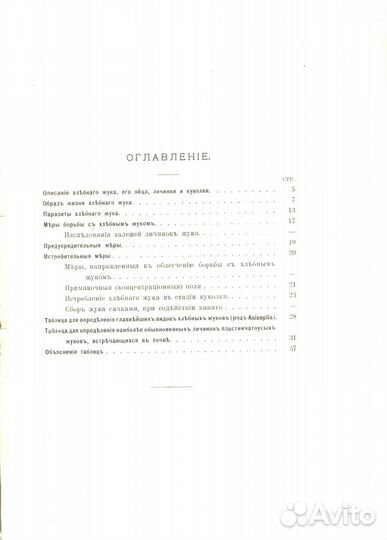 Краткие сведения о хлебном жуке и способы борьбы