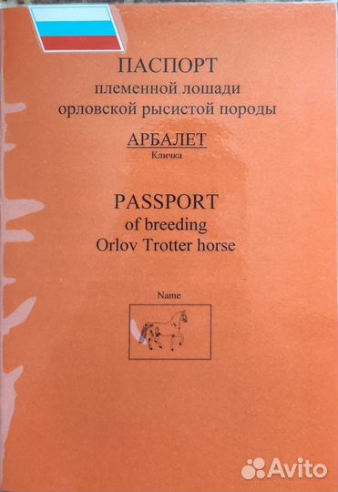 Продаются лошади