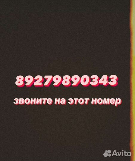 Бычки и телка