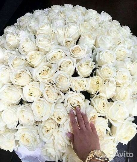 Розы Цветы Букеты 25 51 151 201 101 301 501 опт