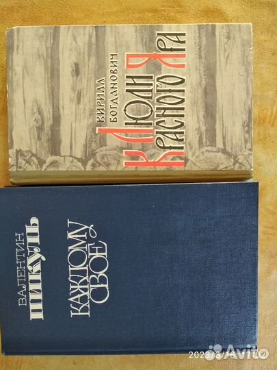 Популярная историческая литература