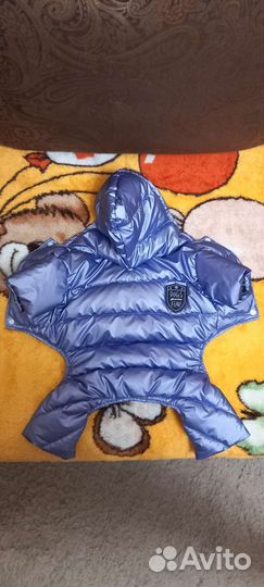 Одежда для средних собак