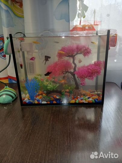 Аквариум