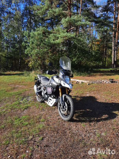 Suzuki DL 1000A 2014