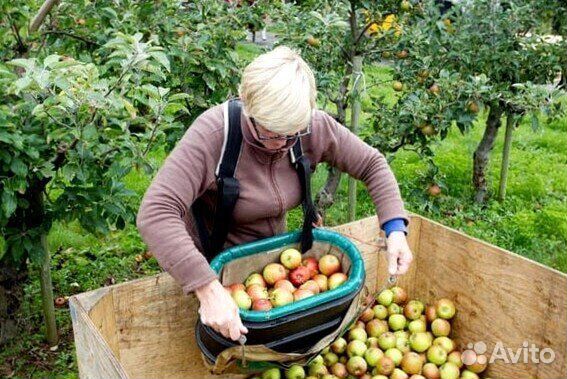 Сборщик на вахту