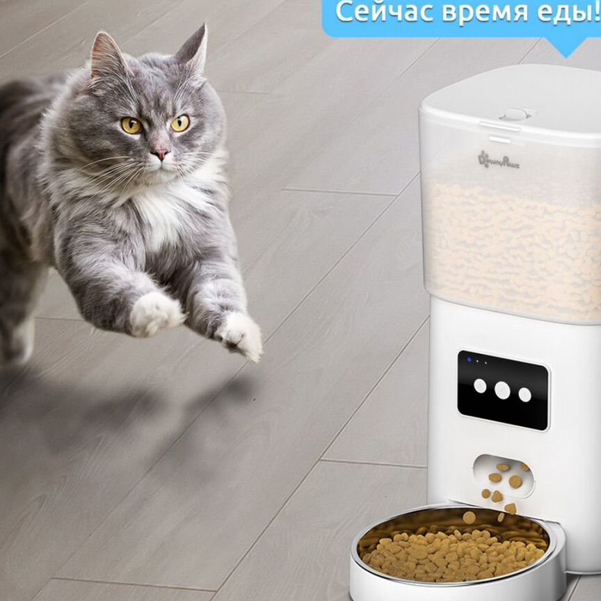 DownyPaws, кормушка автоматическая для кошек 6Л