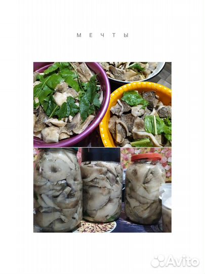 Грибы местные и неместные) Ягоды.Купорка.Чай