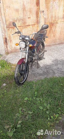 Альфа Рейсер