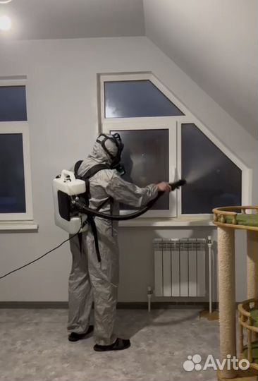 Дезинфекция