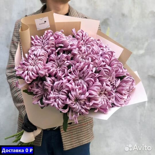 Заказать хризантемы