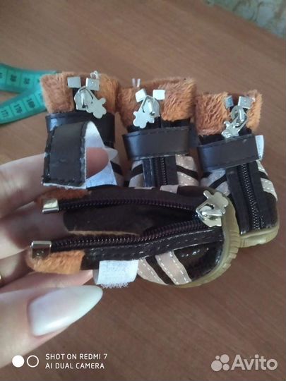 Обувь для собак