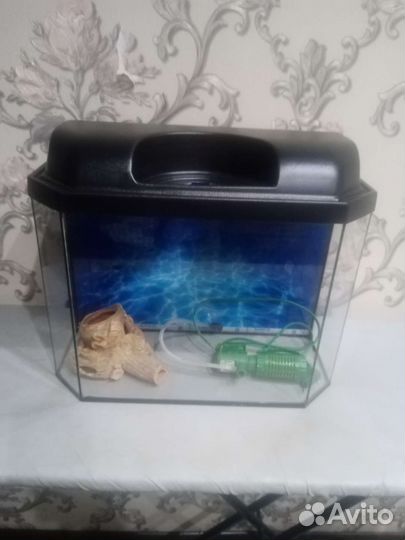 Аквариум
